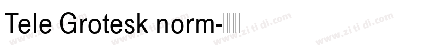 Tele Grotesk norm字体转换